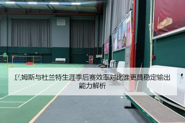 詹姆斯与杜兰特生涯季后赛效率对比谁更具稳定输出能力解析
